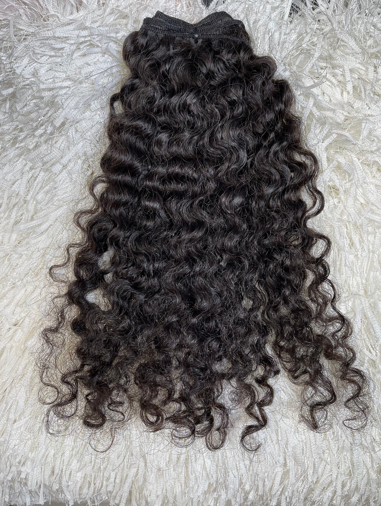 Burmese Curly